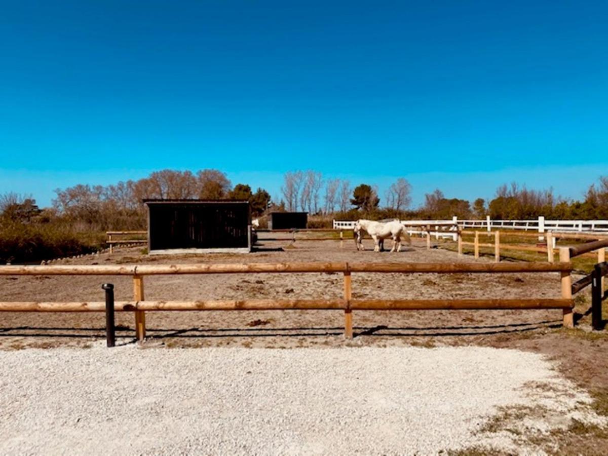 Gites Equestres Lou Caloun - Les Saintes Maries De La Mer Exterior photo
